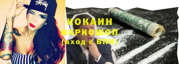 гашик Арсеньев