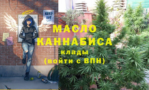 хмурый Аркадак