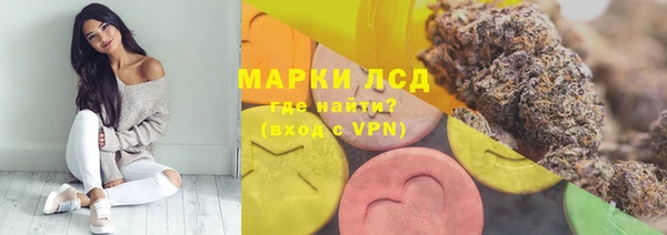 гашик Арсеньев