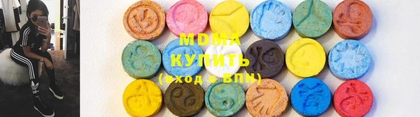 хмурый Аркадак