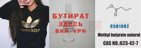 хмурый Аркадак