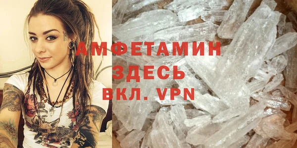 хмурый Аркадак