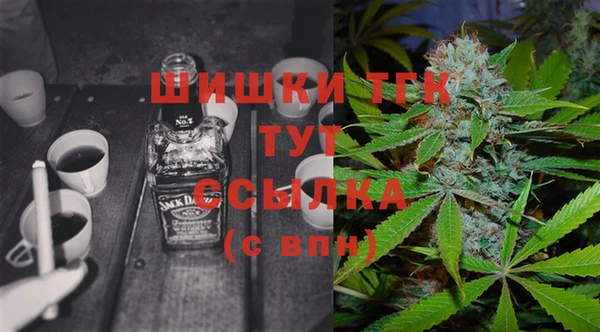 гашик Арсеньев