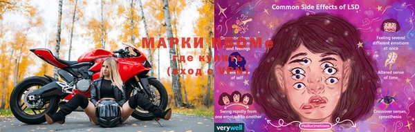 хмурый Аркадак