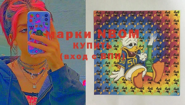 хмурый Аркадак