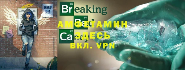 хмурый Аркадак